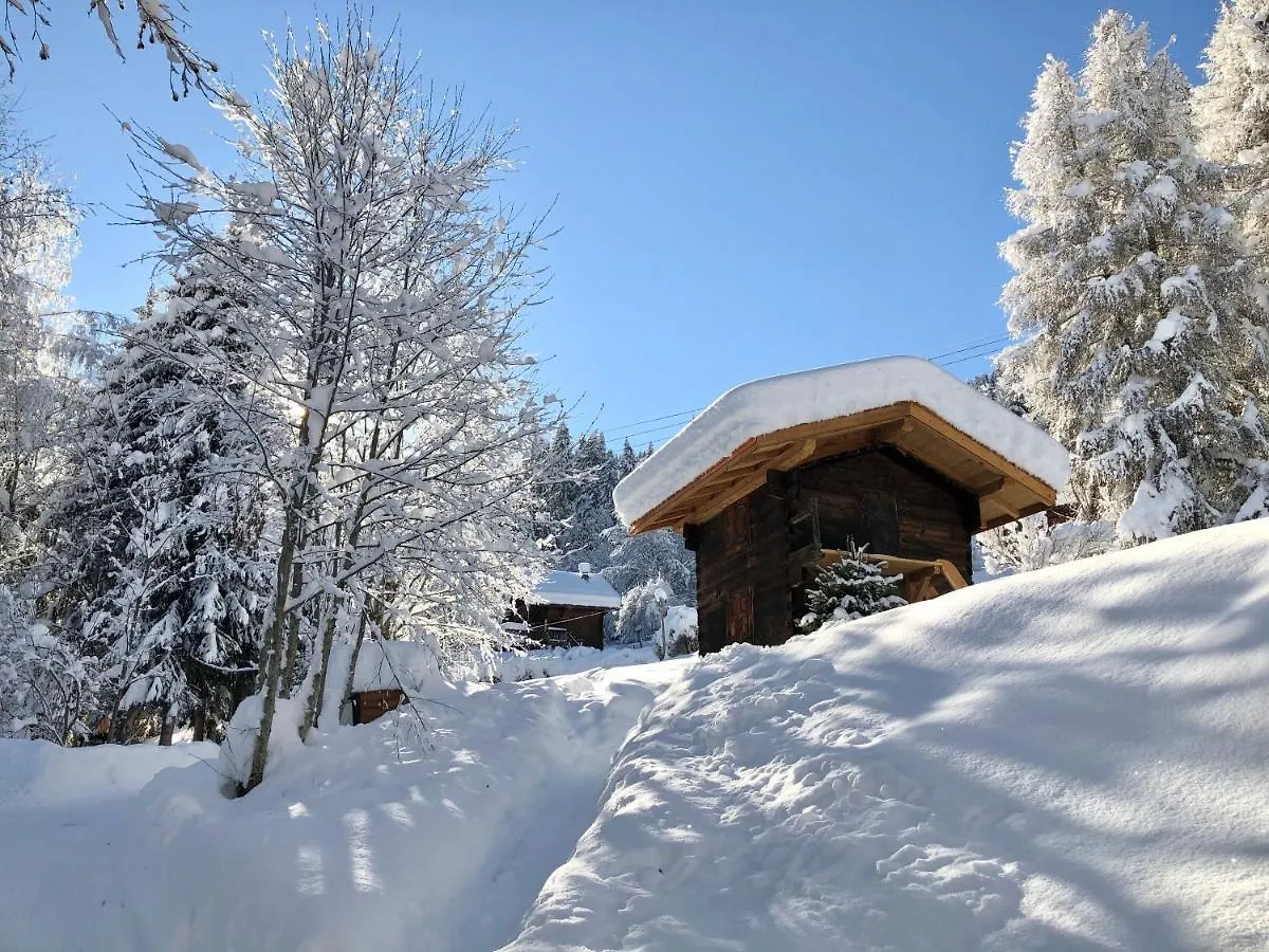 Chalet Mountain Vibes Les Houches