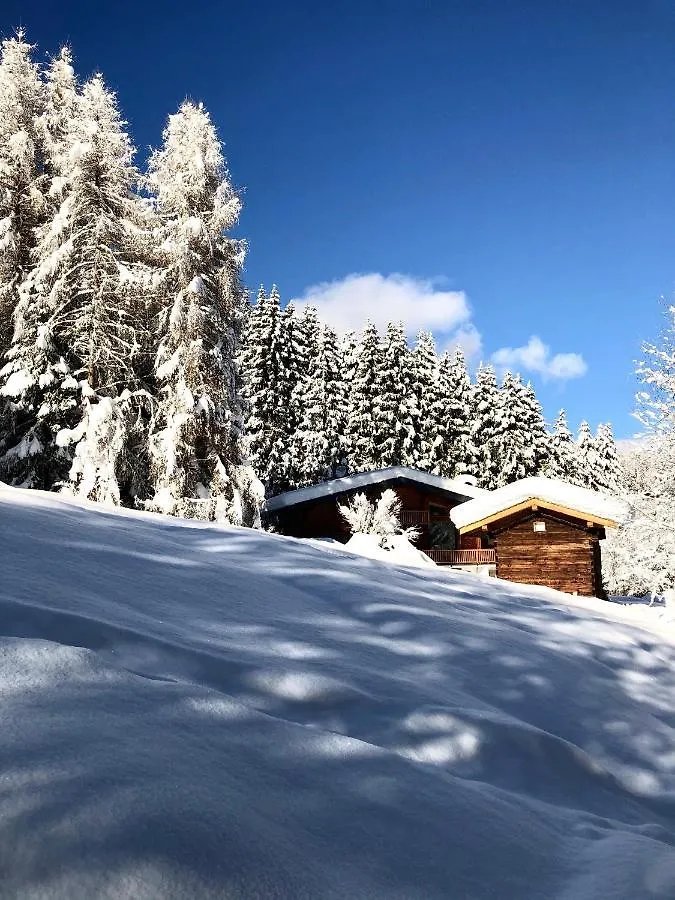 Apartment Chalet Mountain Vibes Les Houches France