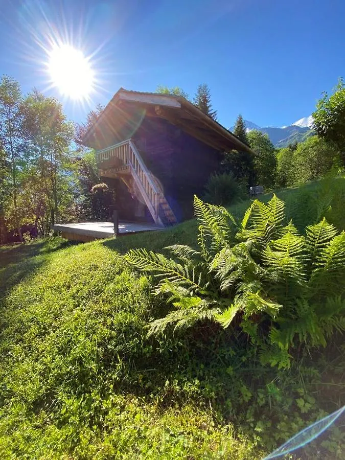 Chalet Mountain Vibes Les Houches Apartment